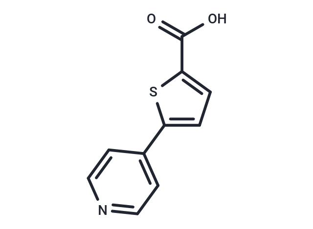 5-PYRID-4-YLTHIOPHENE-2-CARBOXYLIC ACID