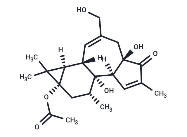 Prostratin [60857-08-1]