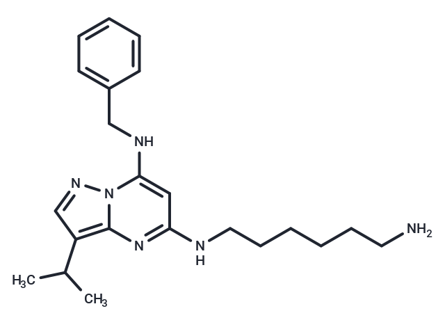 BS-181