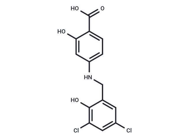 ZL006