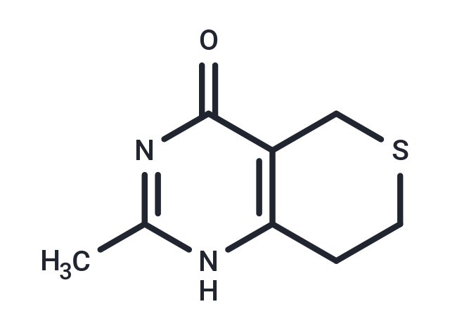 DR2313