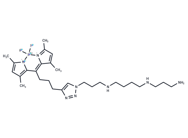 Fluorescent polyamine probe-1