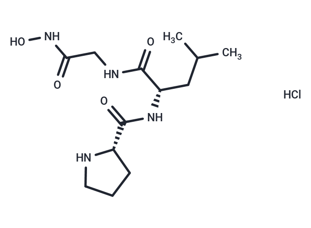Pro-Leu-Gly-NHOH hydrochloride [120928-08-7]