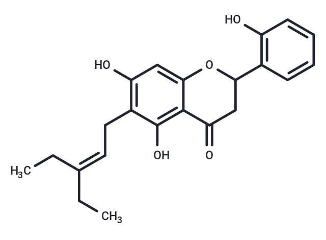 KTt-45