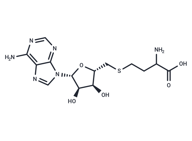 SARS-CoV-2-IN-76