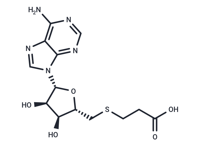 SARS-CoV-2-IN-78
