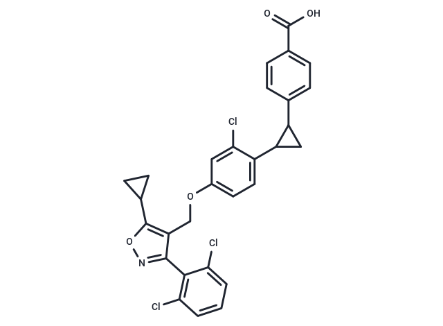 PX20606