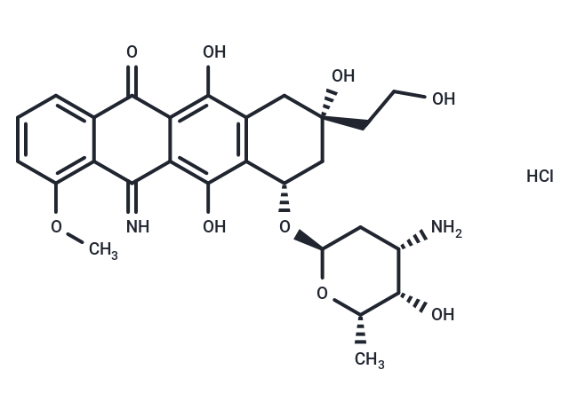 Camsirubicin HCl