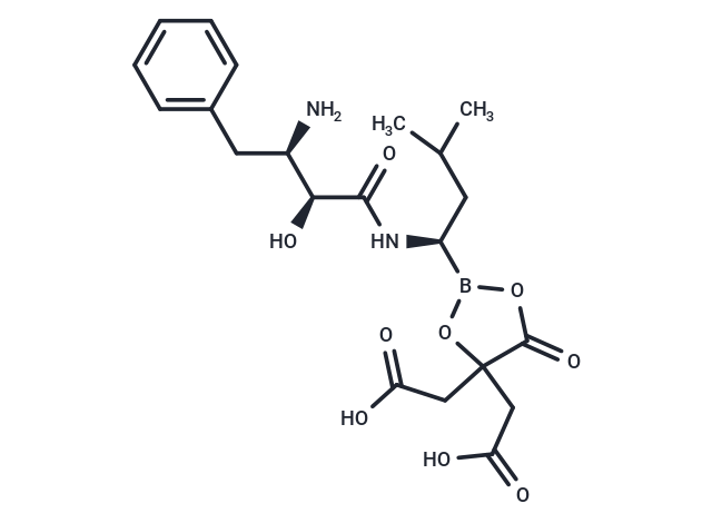 BC-05