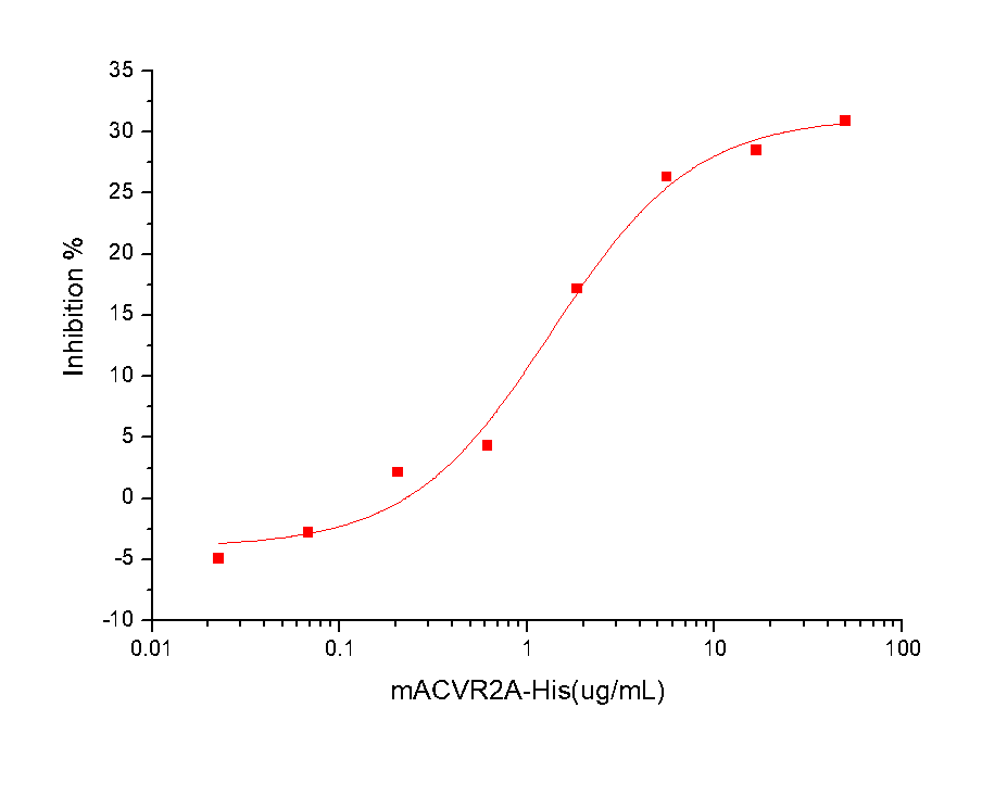 ACVR2A Protein, Mouse, Recombinant (His)