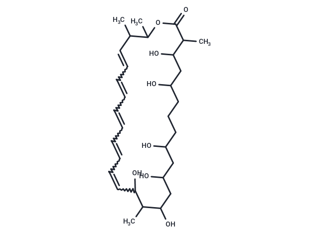 AB023a