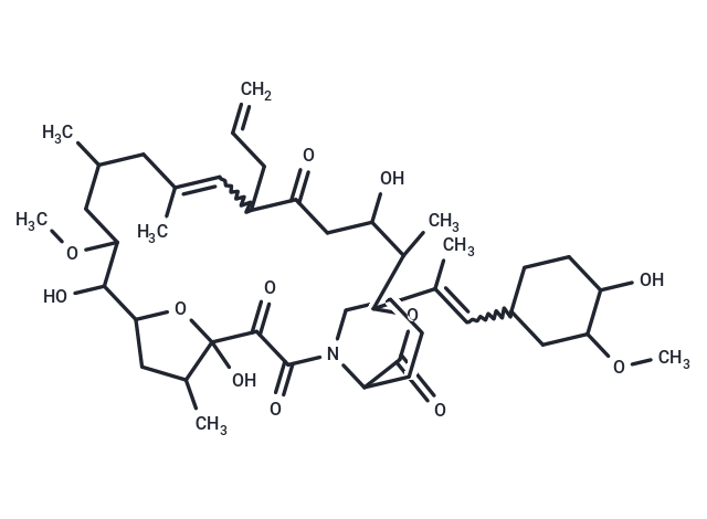 L 683519