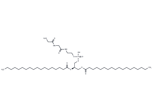 NH2-GG-DSPE