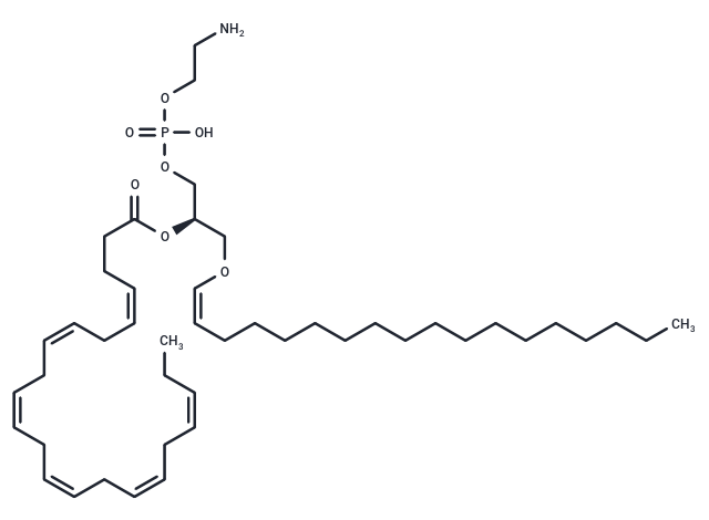 1-1(Z)-Octadecenyl-2-docosahexaenoyl-sn-glycero-3-PE