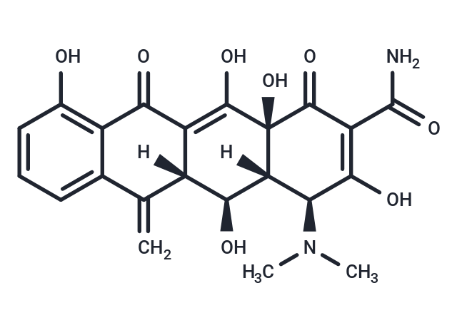 Methacycline