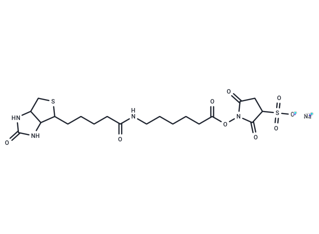 Sulfo-NHS-LC-Biotin Na