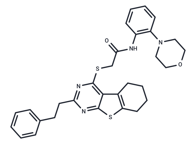 iHCK-37