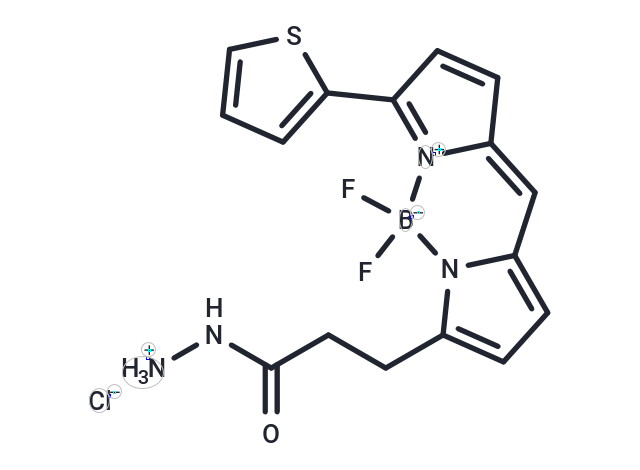 BDP 558/568 hydrazide