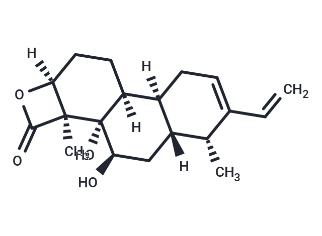 Novolactone