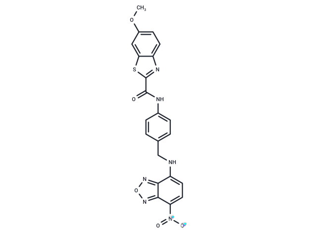 BPN-01