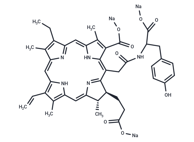 RCK00826