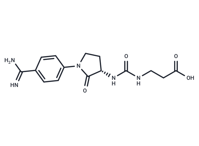 YZ-202