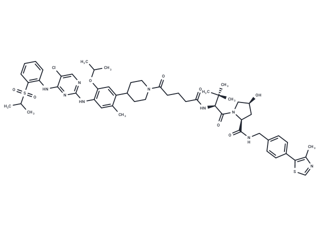 TD-004