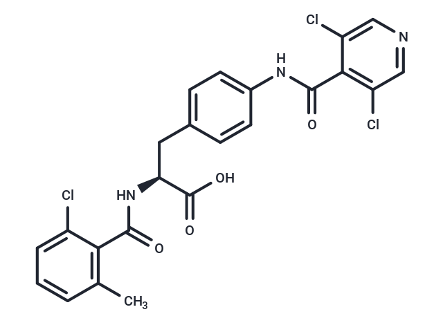 RO-02-70608