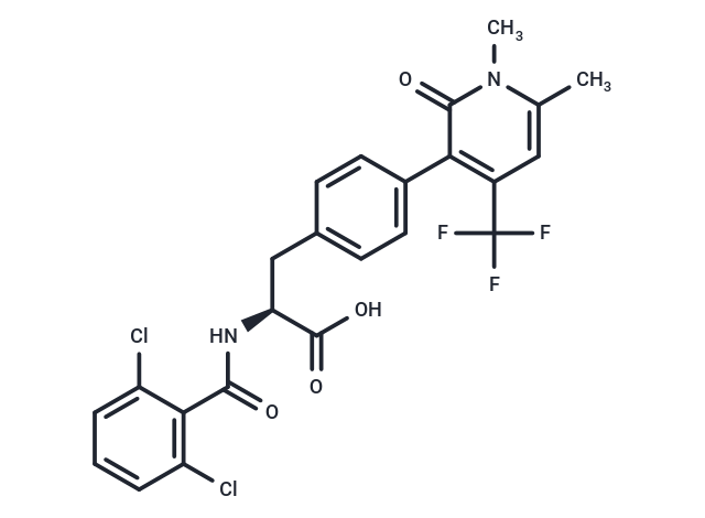 RO0505376
