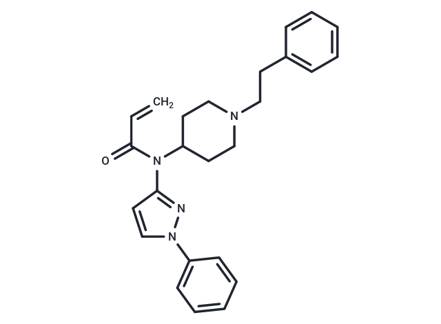 IQMF-4