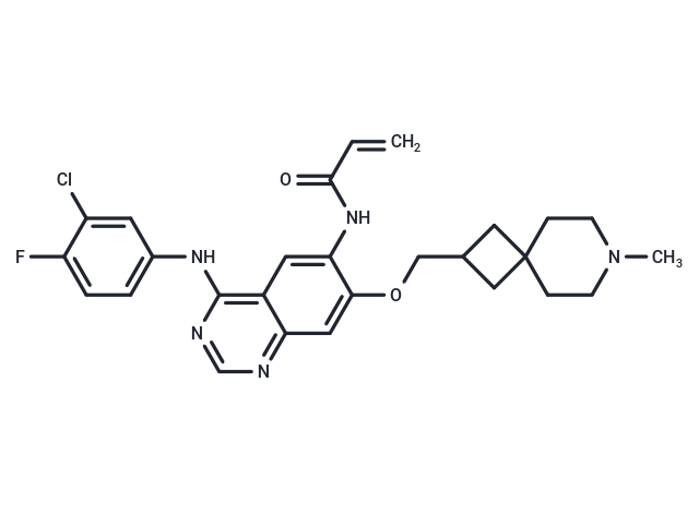 Pirotinib