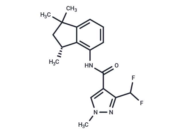 INPYRFLUXAM