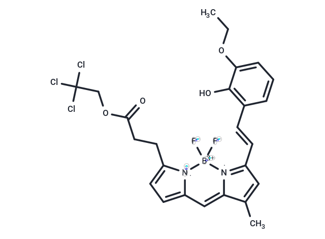 BD-Oligo