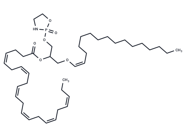 PPI-1040