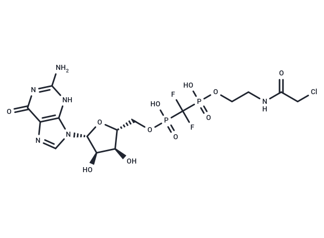 XY-02-082