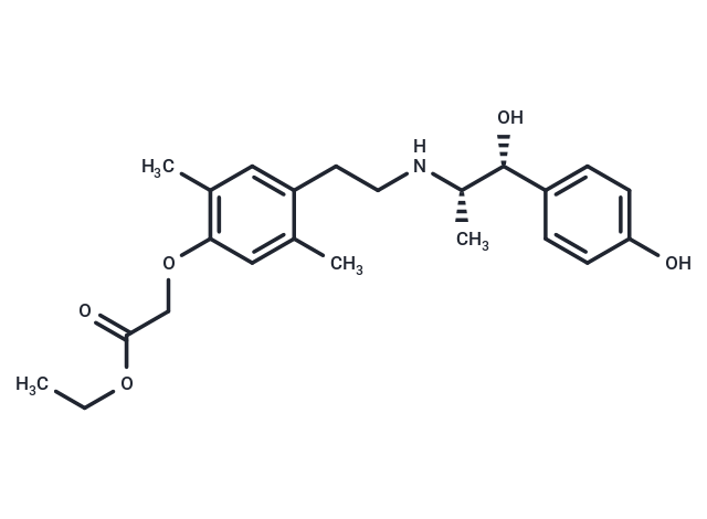Ritobegron ethyl