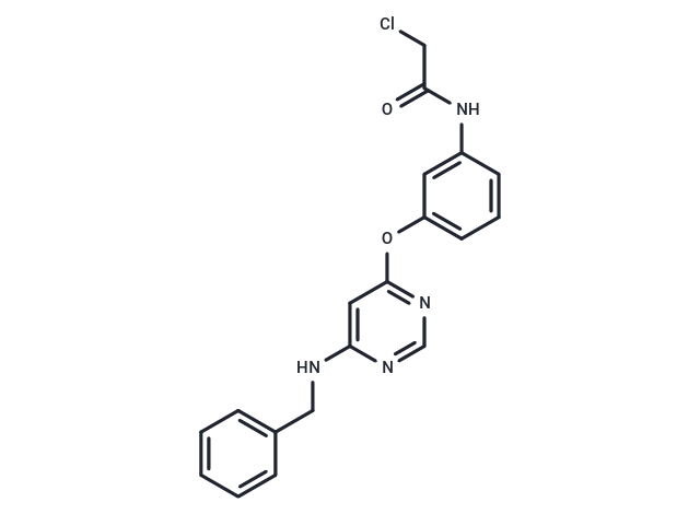 DK2403