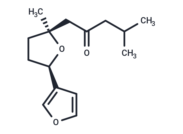Ipomoeamarone