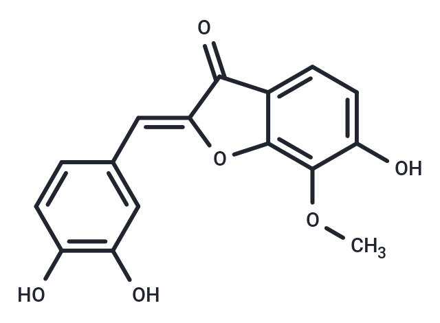 Leptosidin
