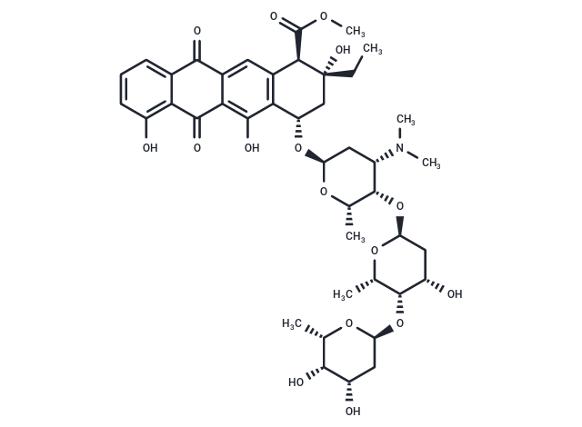 MA 144U1