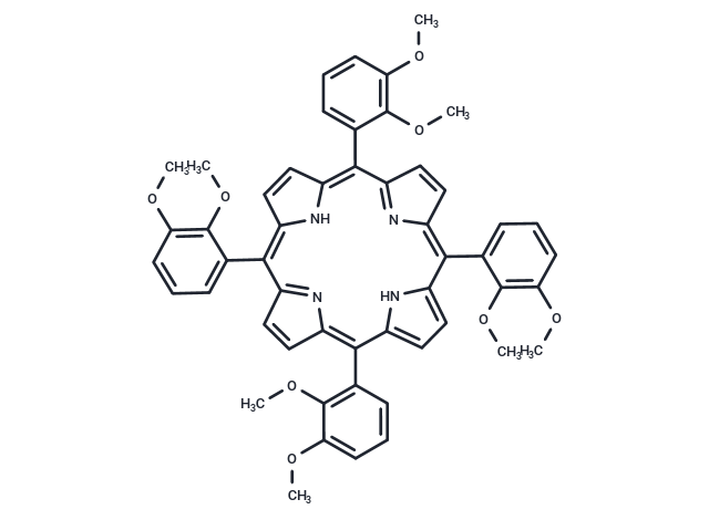XXN22702