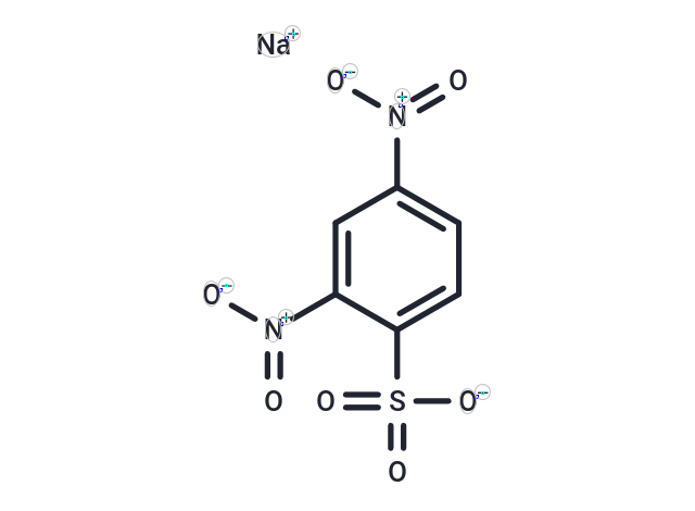 DNBS