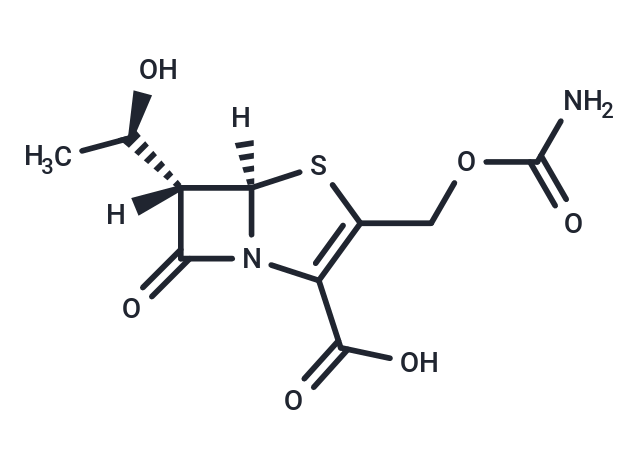 Ritipenem