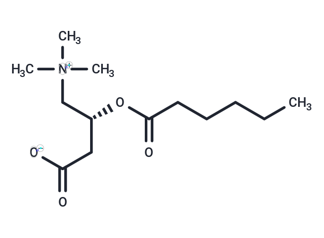 L-Hexanoylcarnitine