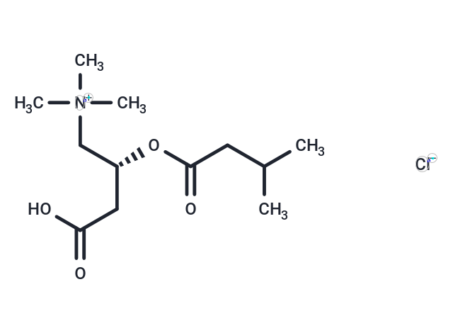 Isovaleryl-L-carnitine (chloride)