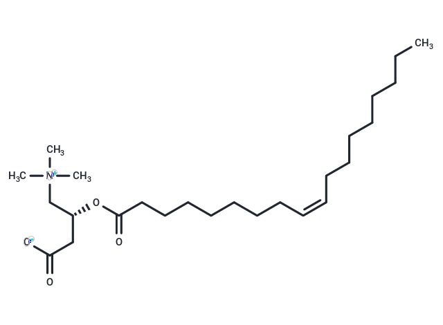 (Cis-9)-Oleoyl-L-carnitine (Standard)