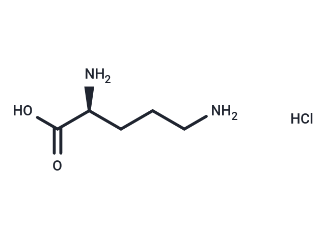 L-Ornithine hydrochloride (Standard)