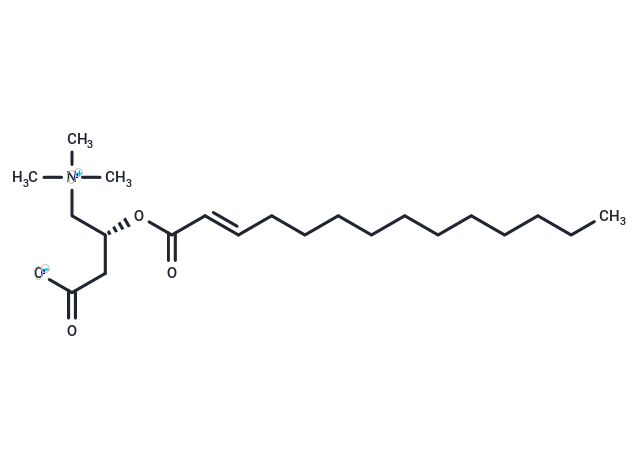 Trans-2-Tetradecenoyl-L-carnitine (Standard)