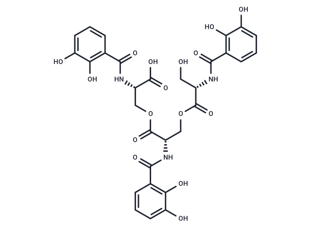 apo-Enterobactin