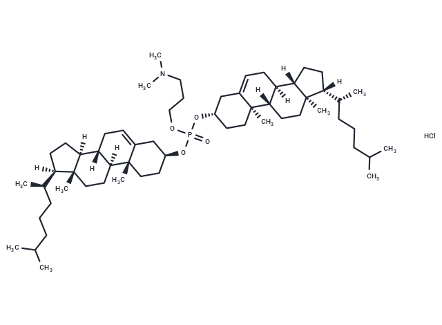 CAP 2